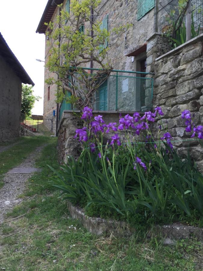 شقة Castello Di Urbech براتوفيتشيو المظهر الخارجي الصورة