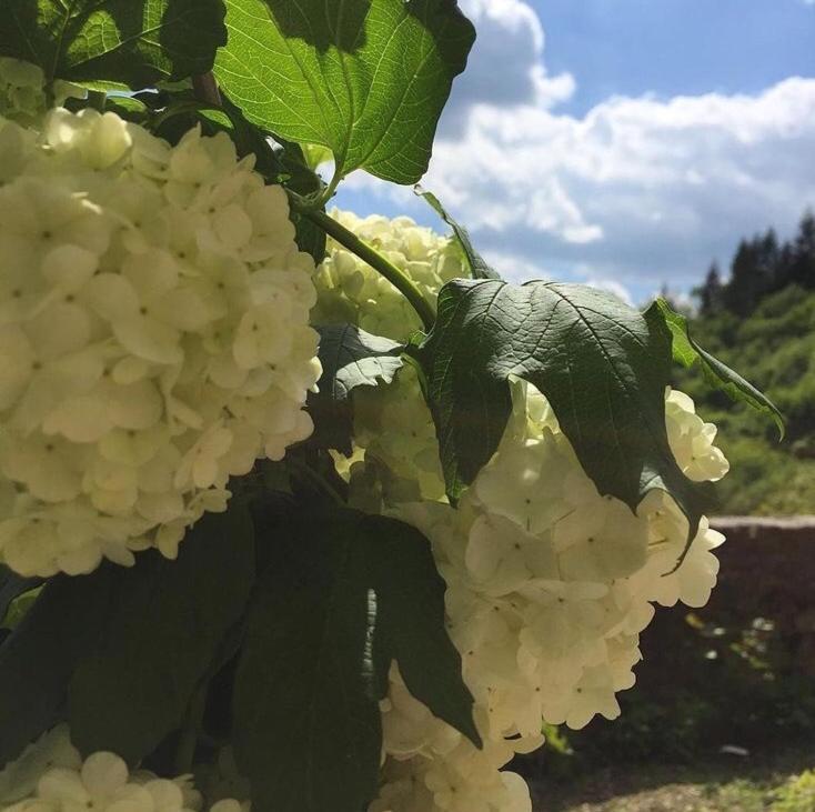 شقة Castello Di Urbech براتوفيتشيو المظهر الخارجي الصورة