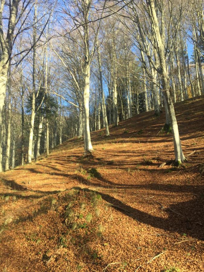 شقة Castello Di Urbech براتوفيتشيو المظهر الخارجي الصورة
